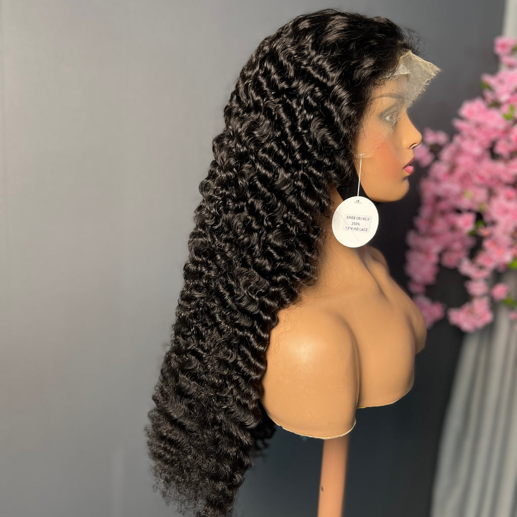 250% HD Lace Frontal Wigs Burmese Curly Undetectable Lace Front Wigs Human Hair