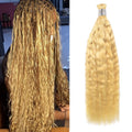 #613 Wave And Wet Hot Braids Bulk Human Hair BORUIHAIR
