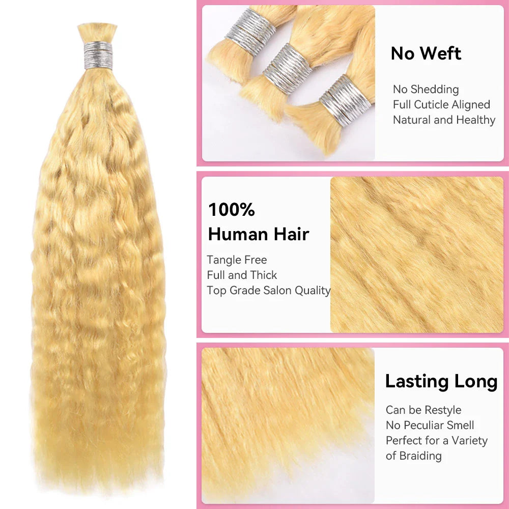 #613 Wave And Wet Hot Braids Bulk Human Hair BORUIHAIR