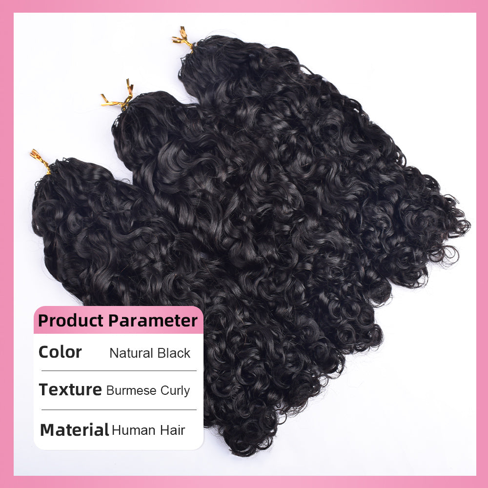 Burmese Curly Crochet Human Hair Pre Loop Extensions BORUIHAIR