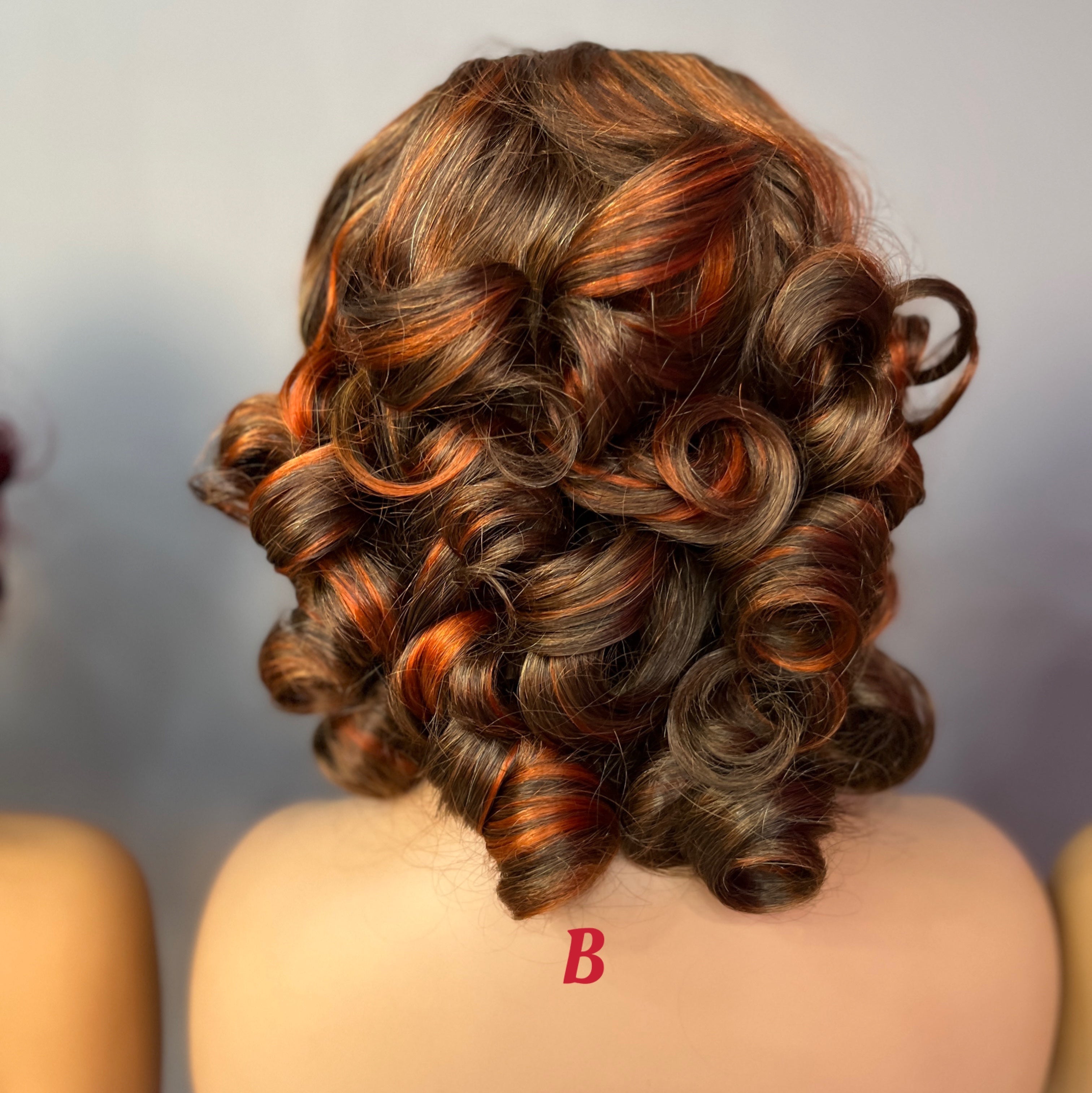 Color Wig 5X5 Transparent Lace Closure Wig Transparent Lace Wig Bouncy Curly Lace Frontal Wig